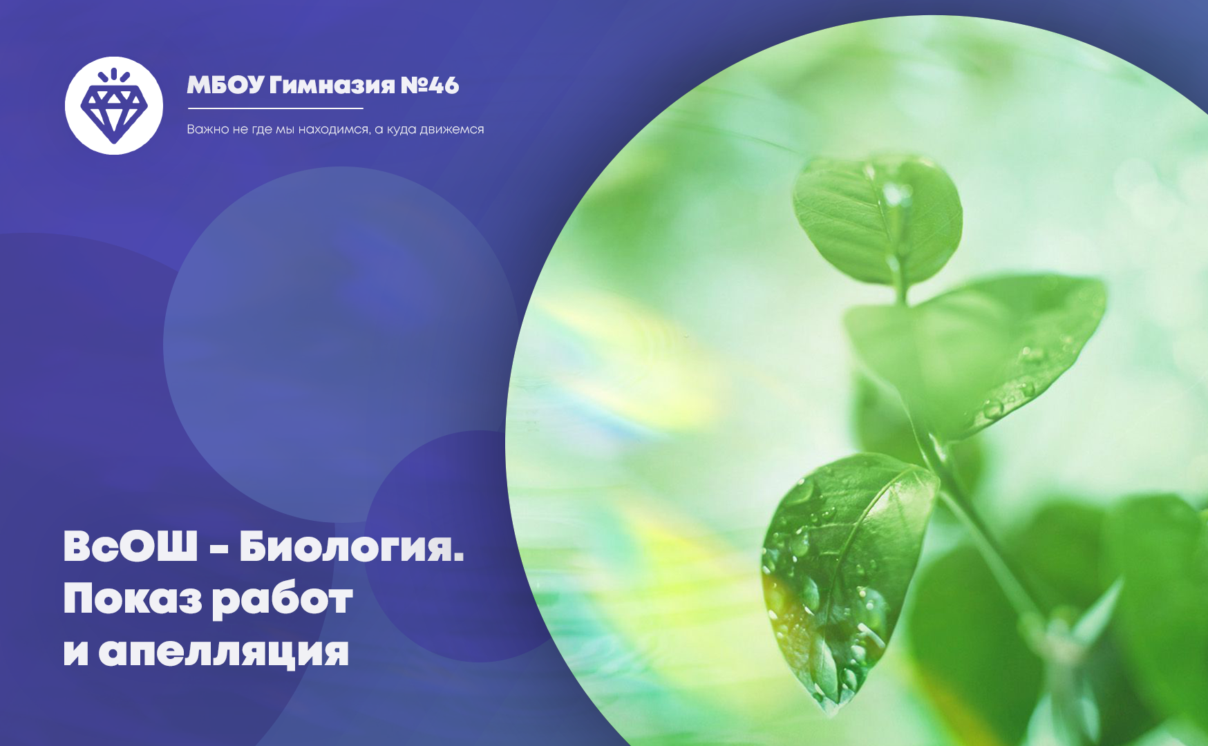 ВсОШ 2023. Биология. Процедура показа работ и апелляции.